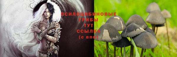 Альфа ПВП Козловка
