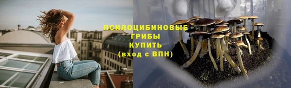 стаф Козельск