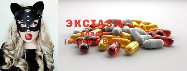 стаф Козельск