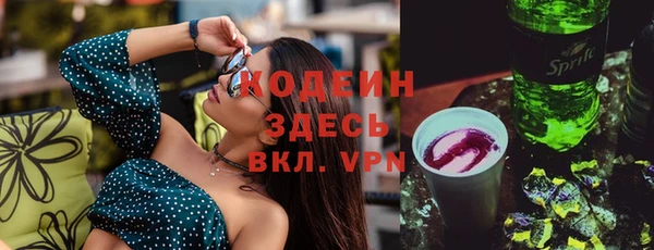 стаф Козельск