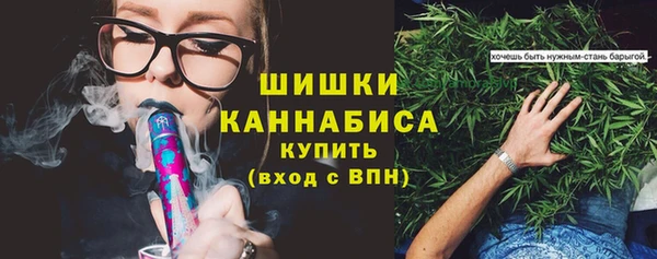 стаф Козельск