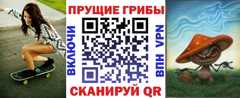 Купить закладки  Николаевск-на-Амуре  Псилоцибиновые грибы мицелий 